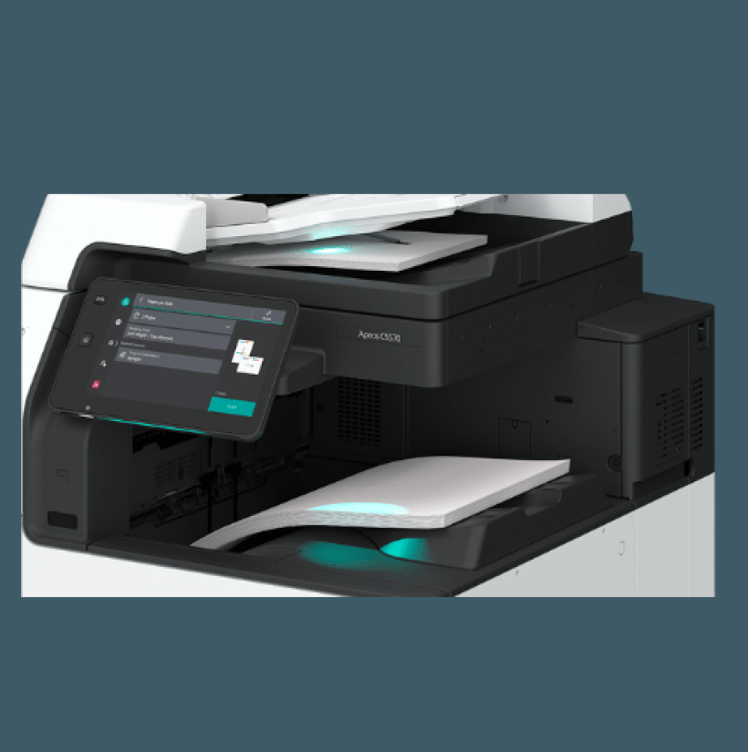 Untitled design (17)